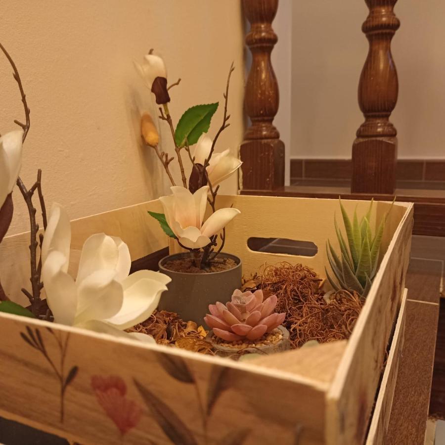 El Cascanueces - Casa Rural カンデラリオ エクステリア 写真